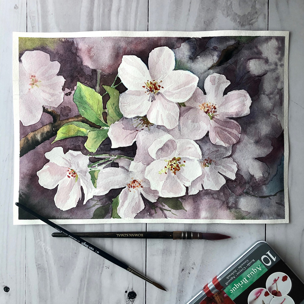 Watercolor Beginners