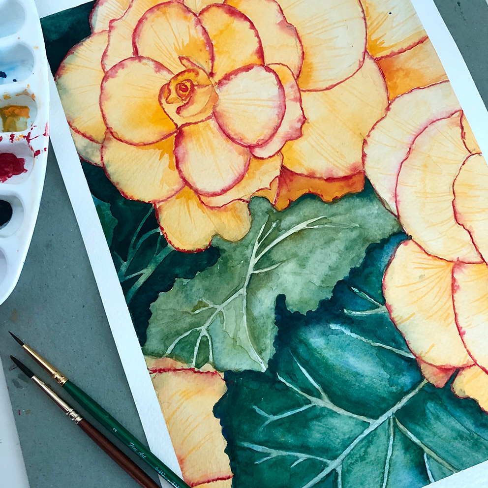 Mastering Watercolor
